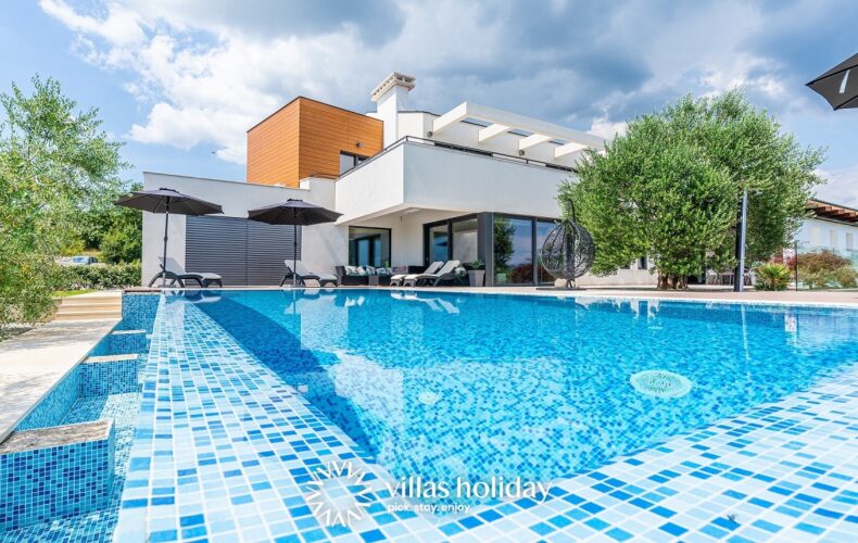 Modern Villa Pedena in Istria