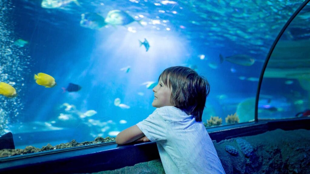 Fun family activity in Istria