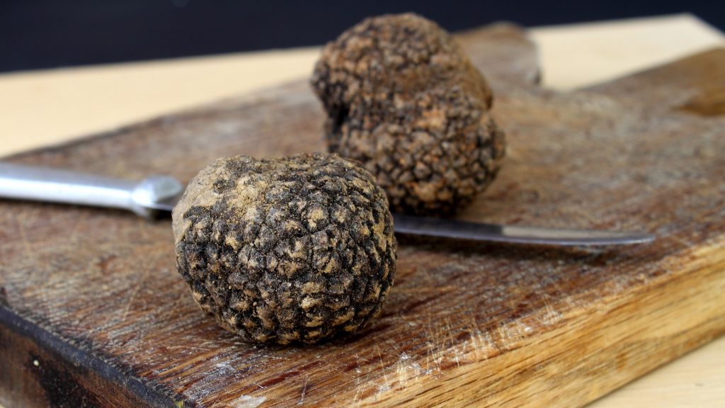 World-famous Istrian truffles