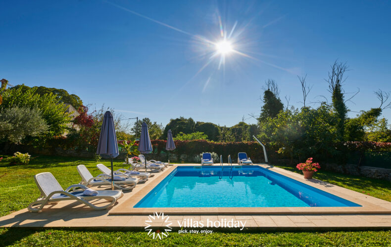 Rustic pet friendly villa with swimming pool in central Istria