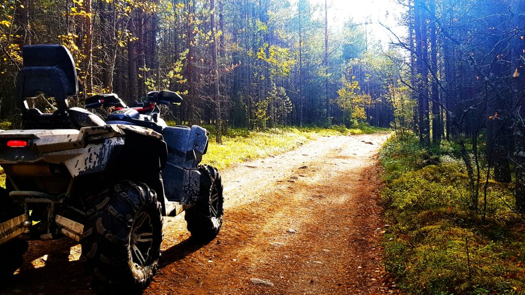 Istria Quad Adventure – experience the beauty of Istria in an unusual way