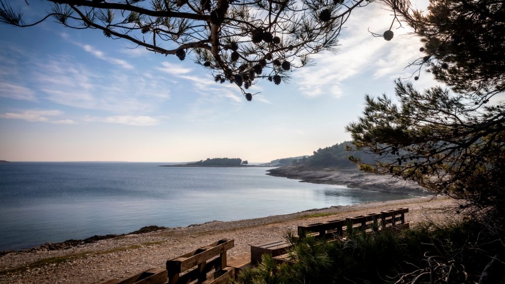 The most beautiful beaches in Istria where you can come with your pets!