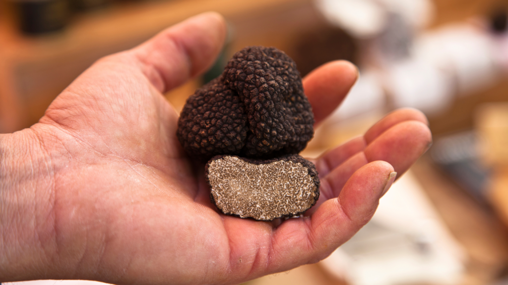 Where to find truffles!