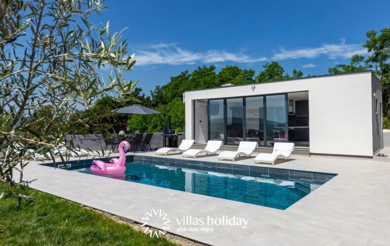 Designer villa with swimming pool in coastal Istria