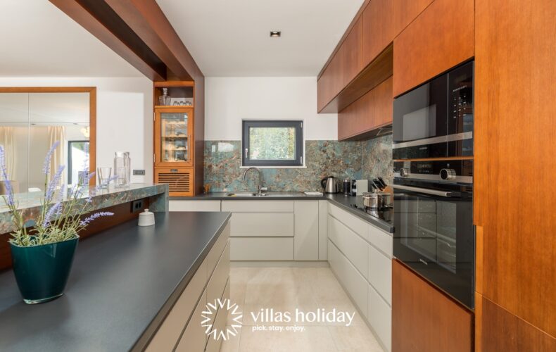 Modern kitchen of Villa Istria Green